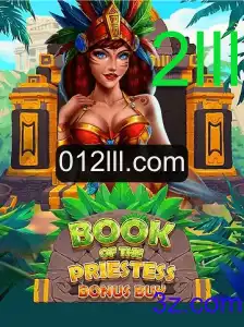 Explorando as Profundezas do 'BookOfThePriestess': Um Mergulho na Aventura Interativa
