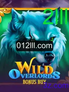 Explorando o Mundo de WildOverlordsBonusBuy